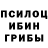 Галлюциногенные грибы GOLDEN TEACHER dead brad